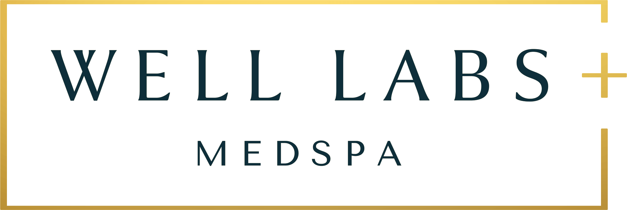 Well Labs+ Medspa &ndash; Coconut Creek logo